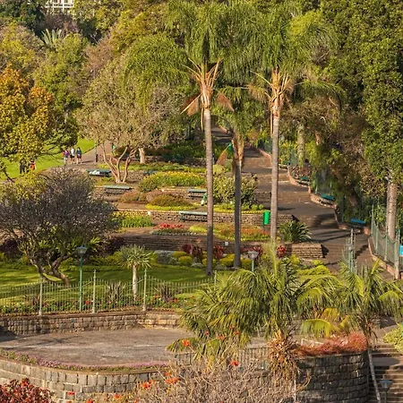 The Boats By An Island Lägenhet Funchal (Madeira)